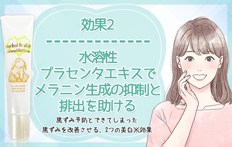 効果2:水溶性プラセンタエキスでメラニン生成の抑制と排出を助ける