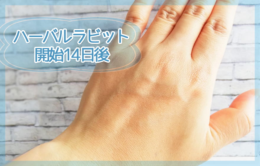 ハーバルラビット開始14日後