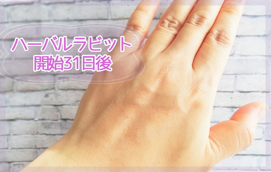 ハーバルラビット開始31日後