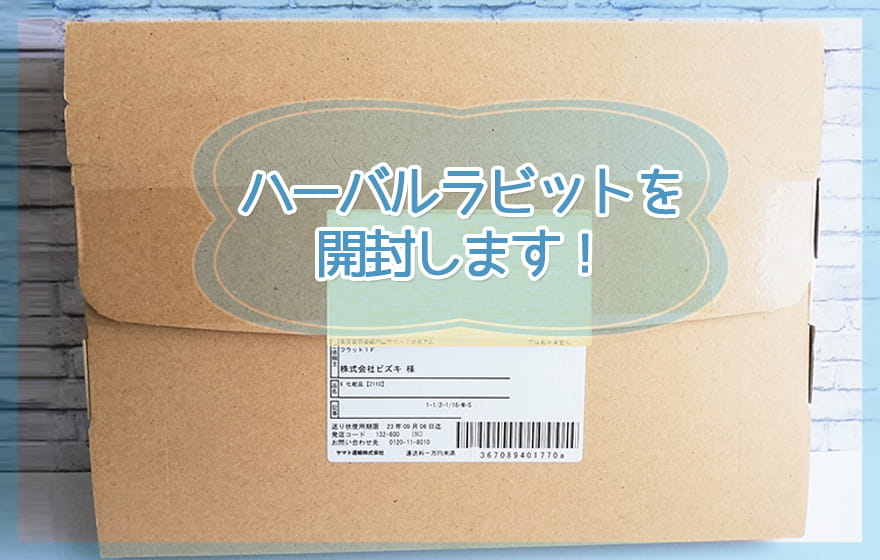 ハーバルラビットを開封します!